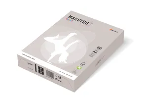 MAESTRO color TREND 80g 500 Blatt Grau - GR21
